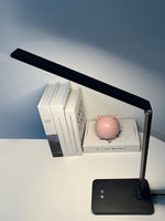 Aleris LED Desk Lamp with USB Built-in Battery 13"