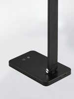 Aleris LED Desk Lamp with USB Built-in Battery 13"