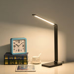 Aleris LED Desk Lamp with USB Built-in Battery 13"