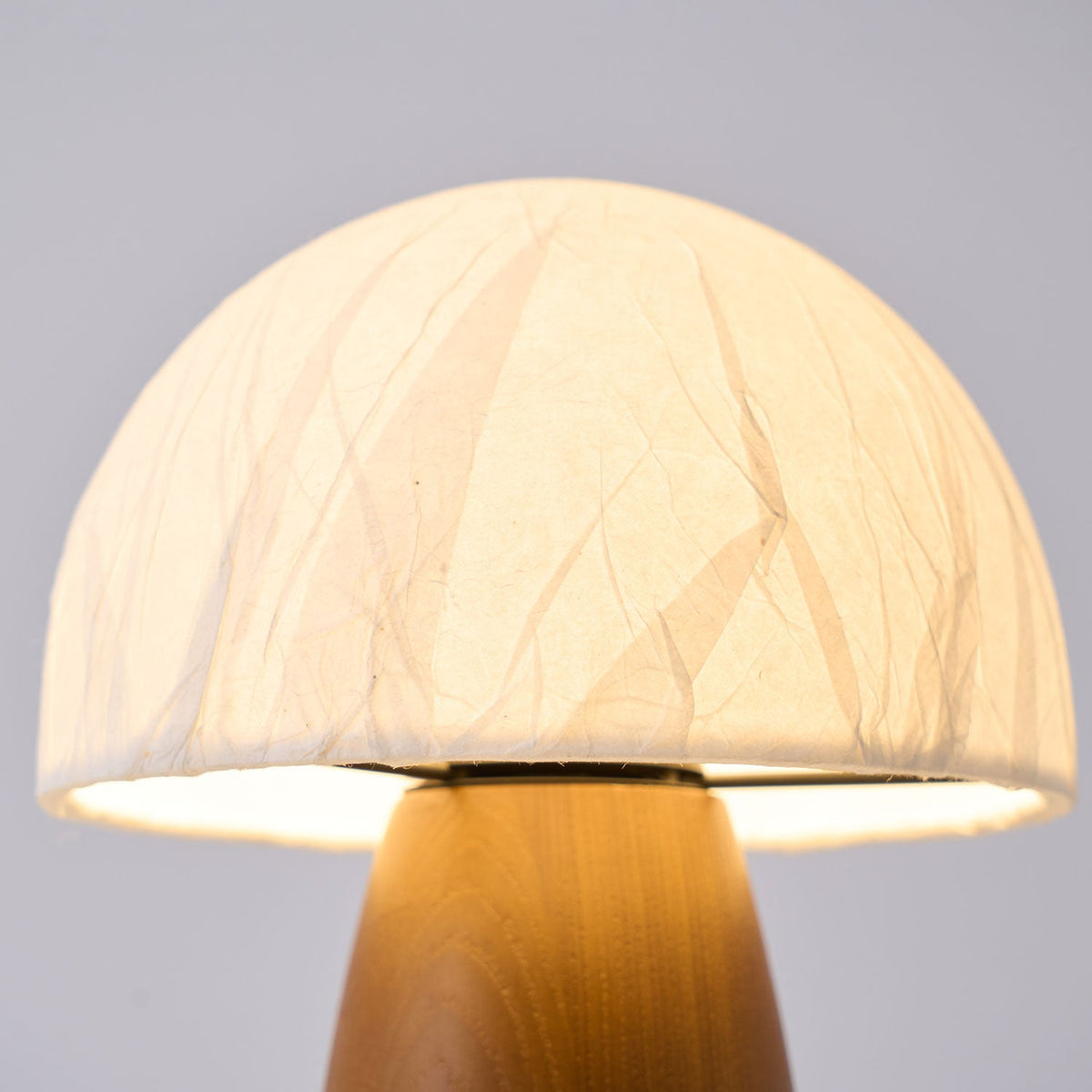Myco Mushroom Table Lamp