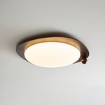 Amalphi Ceiling Light