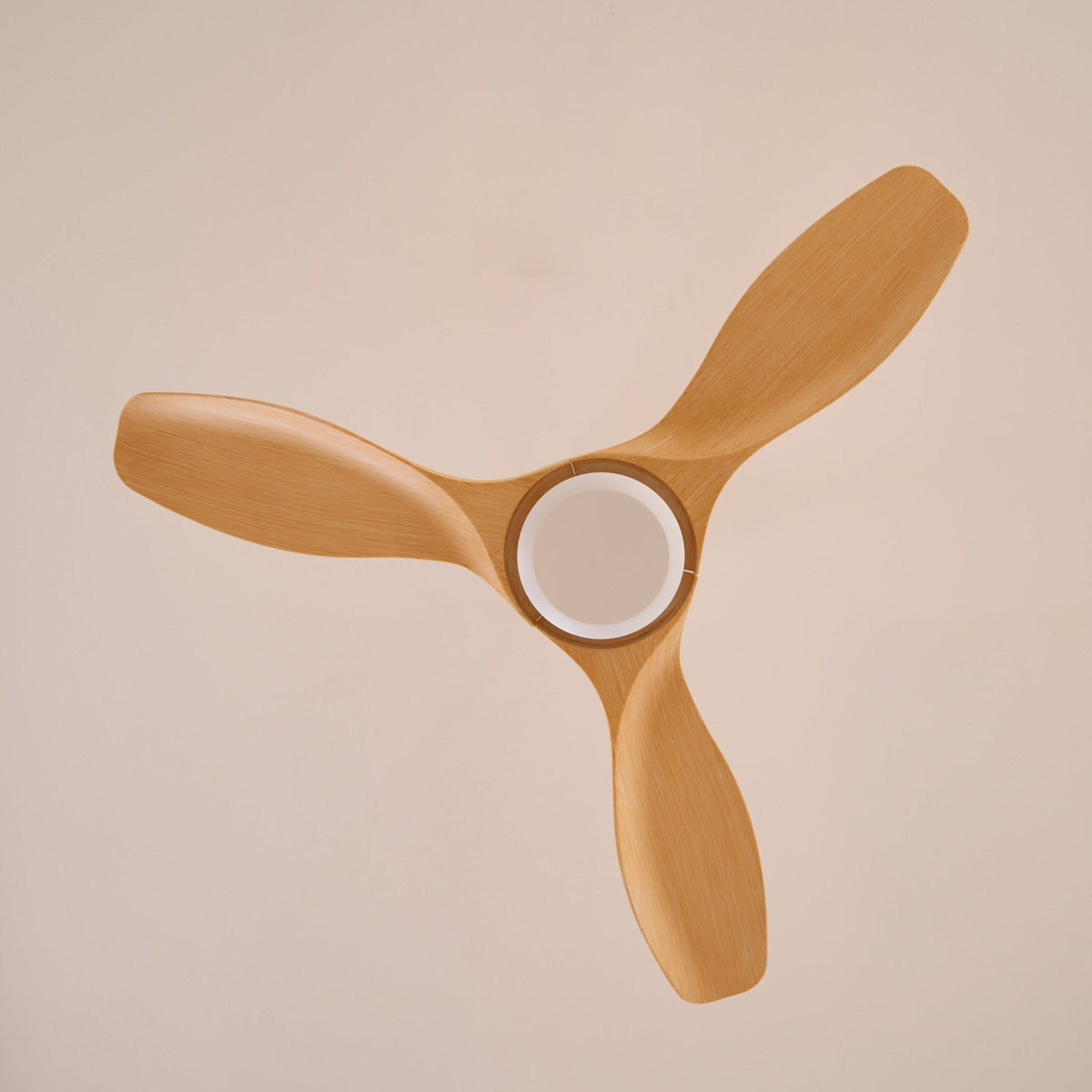 Amelia Ceiling Fan