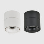 Anti-glare Nordic Surface Mounted Spotlight 3.9"