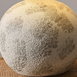 Arosa Table Lamp 19.7"