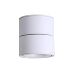 Artemis Surface Downlight