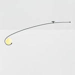 Astral Curve Ceiling Lamp