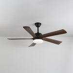Auralin Breeze Ceiling Fan Light