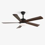 Auralin Breeze Ceiling Fan Light
