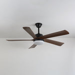 Auralin Breeze Ceiling Fan Light