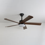 Auralin Breeze Ceiling Fan Light