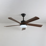 Auralin Breeze Ceiling Fan Light