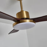 Aurevo Ceiling Fan Light