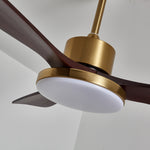 Aurevo Ceiling Fan Light