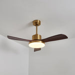 Aurevo Ceiling Fan Light