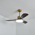 Aurevo Ceiling Fan Light
