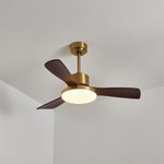 Aurevo Ceiling Fan Light