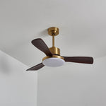 Aurevo Ceiling Fan Light