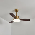 Aurevo Ceiling Fan Light