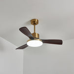 Aurevo Ceiling Fan Light
