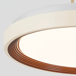 Aurora Nest Ceiling Lamp