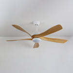 Avenli Ceiling Fan Light