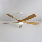 Avenli Ceiling Fan Light
