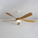 Avenli Ceiling Fan Light