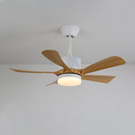 Avenli Ceiling Fan Light