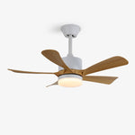 Avenli Ceiling Fan Light