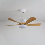 Avenli Ceiling Fan Light