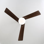 Averso Ceiling Fan Light