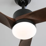 Averso Ceiling Fan Light