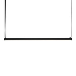 Belto Linear Pendant Light