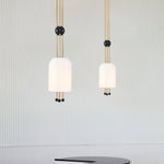 Benjamin Pendant Light