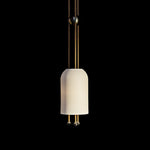 Benjamin Pendant Light