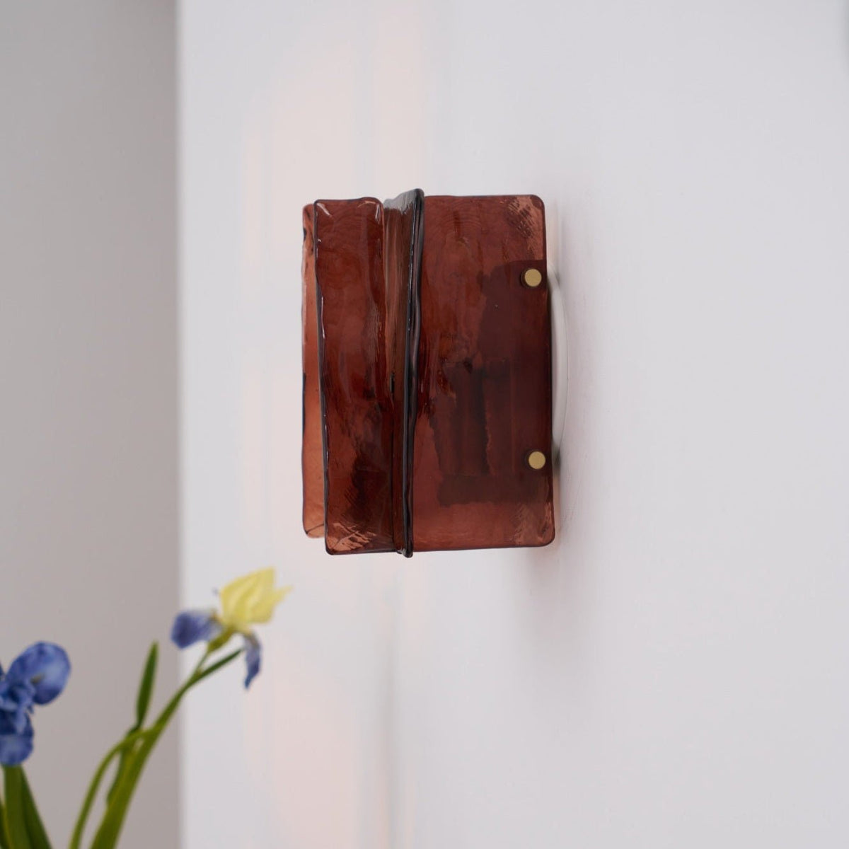 Blason Plug-in Wall Light