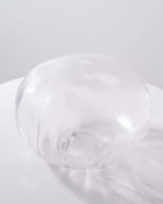 Blown Glass Mesh Pendant Light