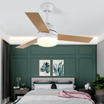 Breeze Minimal Ceiling Fan Light