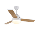 Breeze Minimal Ceiling Fan Light