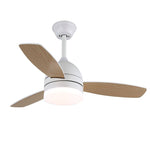 Breeze Minimal Ceiling Fan Light