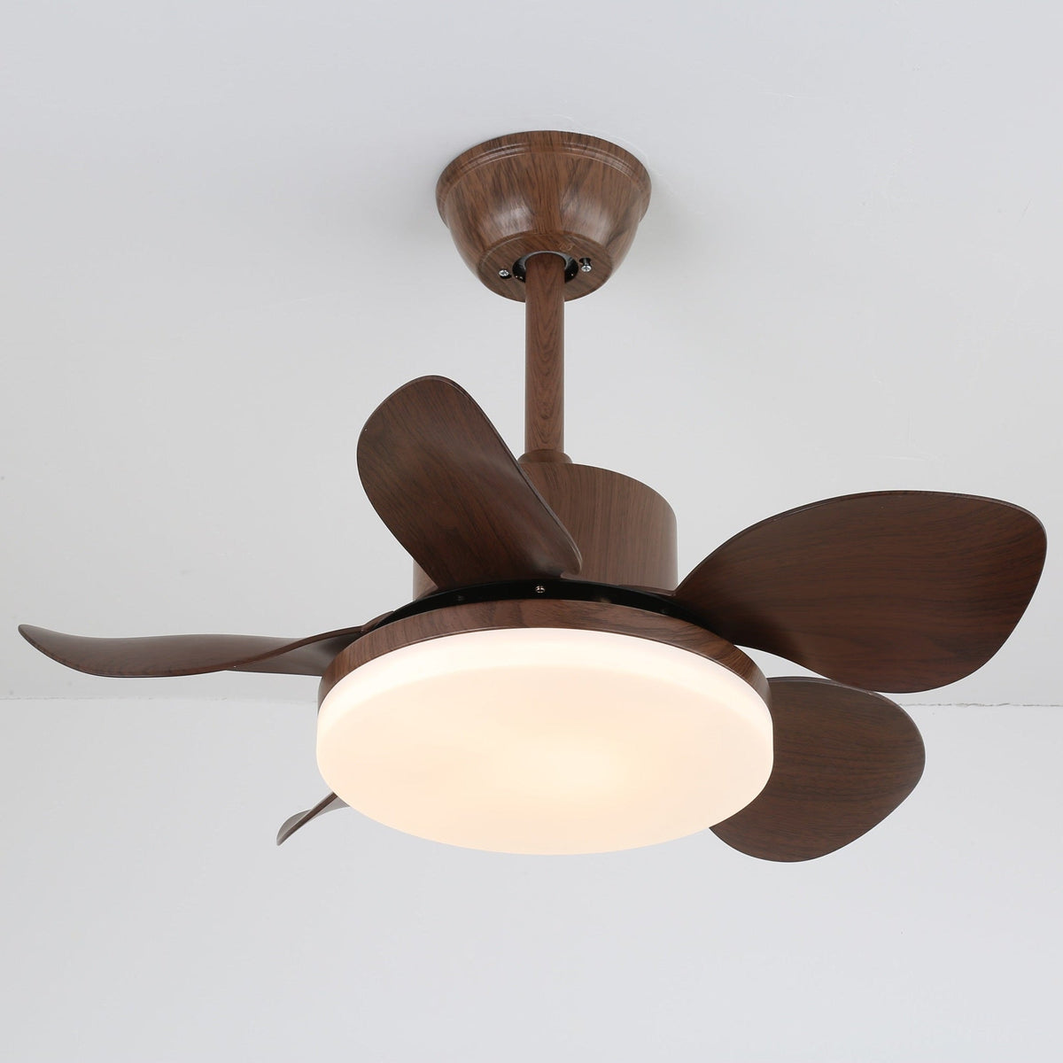 Terra Walnut Ceiling Fan Light