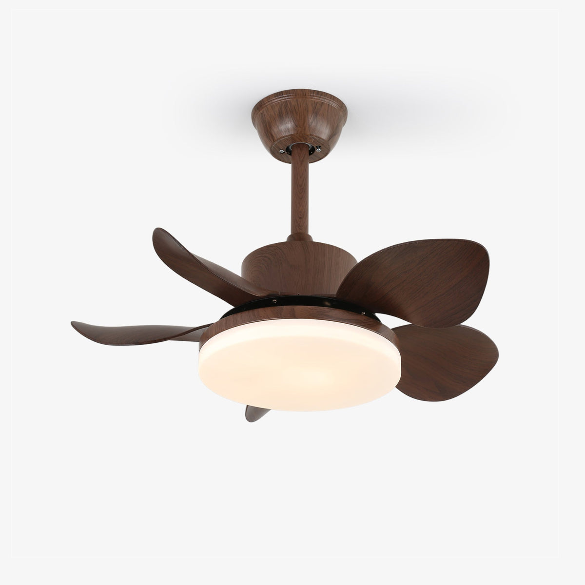 Terra Walnut Ceiling Fan Light