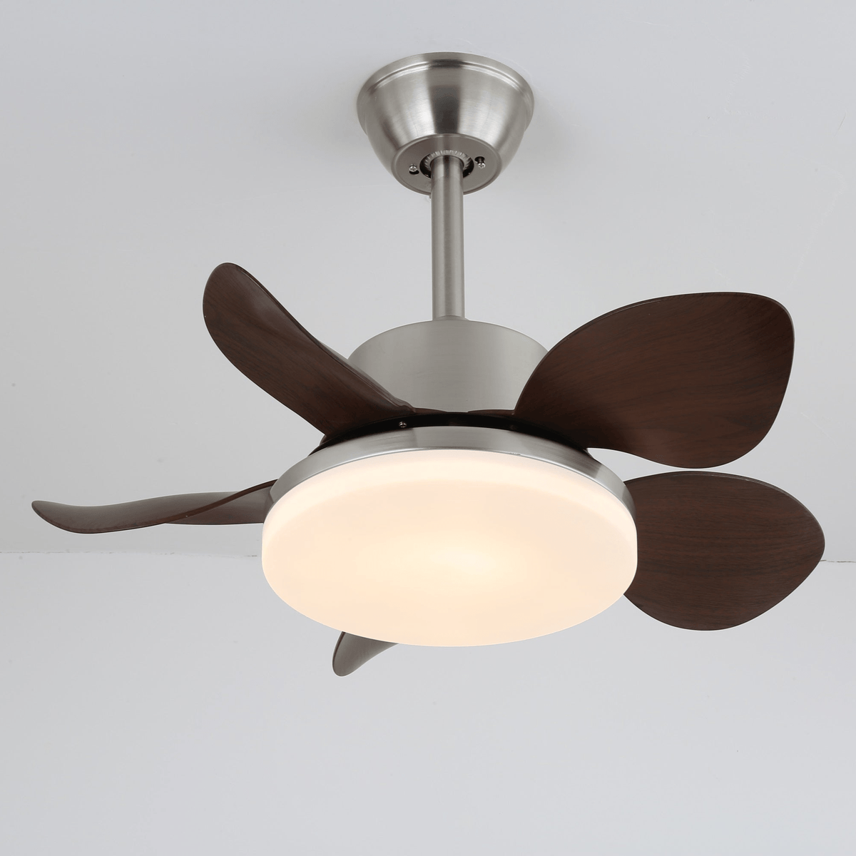 Terra Walnut Ceiling Fan Light