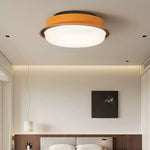 Caelan Ceiling Light