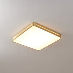 Caelum Ceiling Light