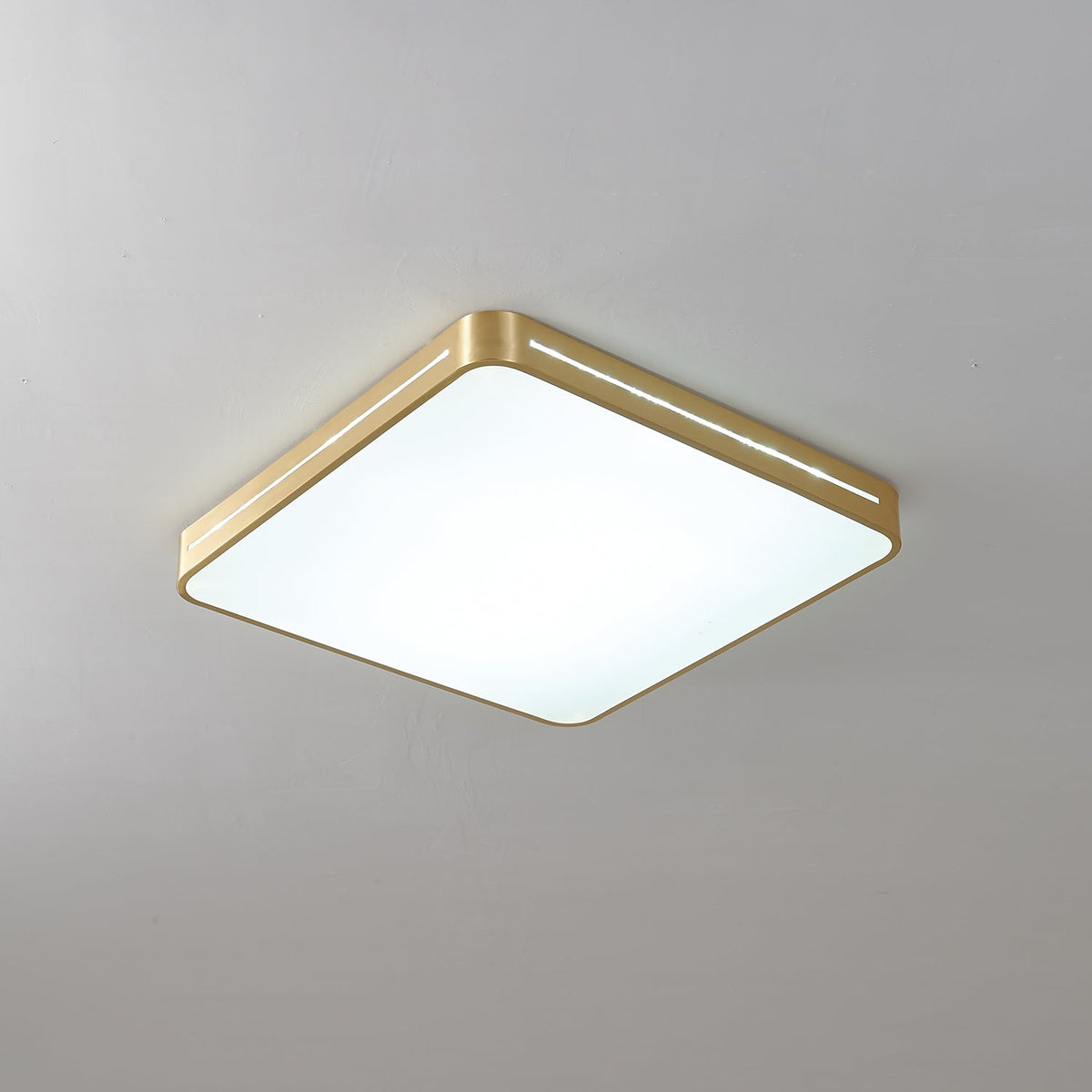 Caelum Ceiling Light