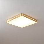 Caelum Ceiling Light