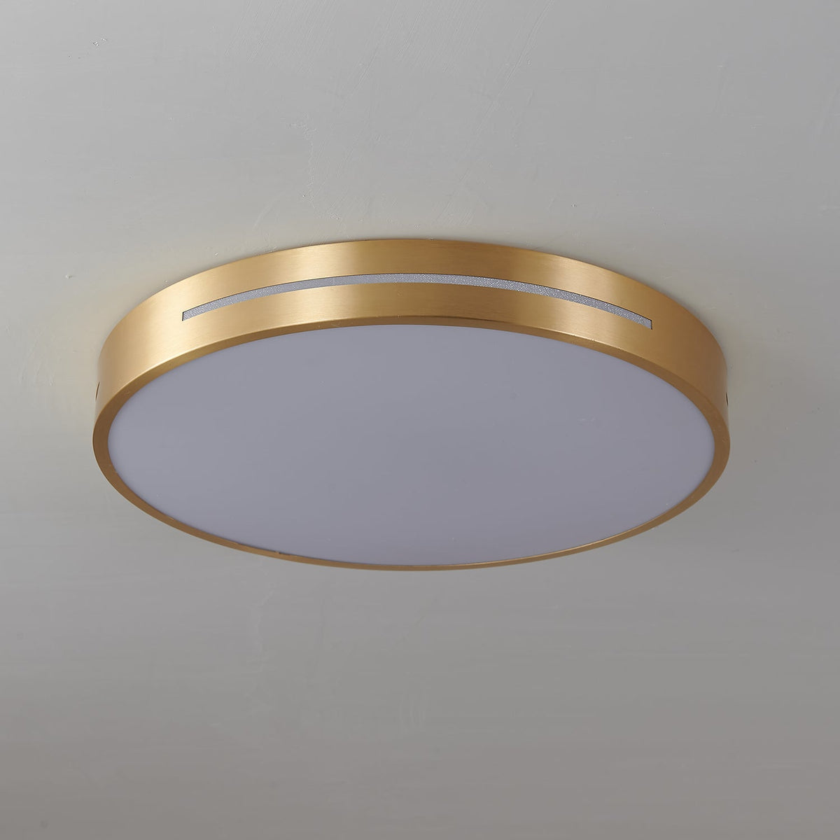 Caelum Ceiling Light