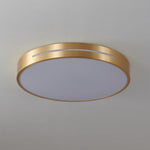 Caelum Ceiling Light
