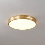 Caelum Ceiling Light